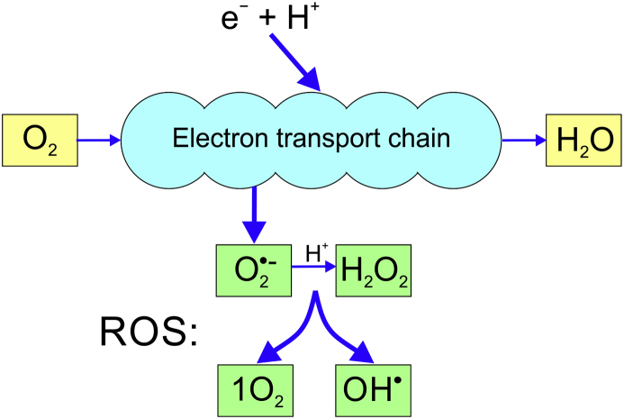 Figure 1