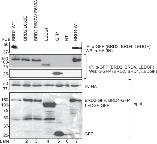 Fig 5