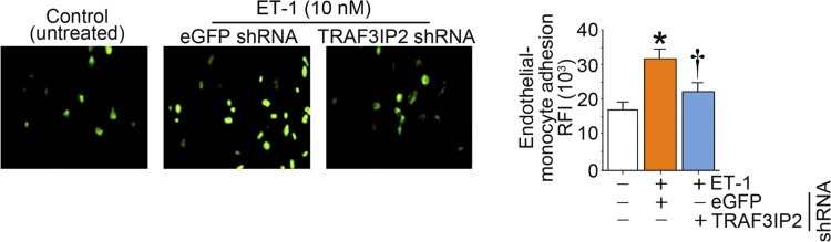 Fig. 9.