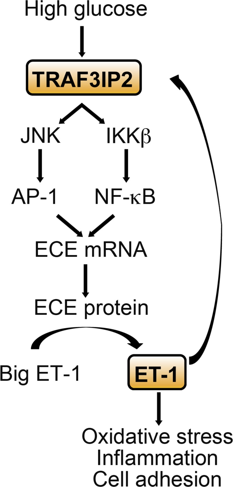 Fig. 11.