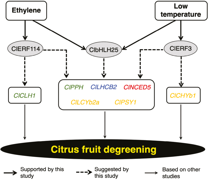 Fig. 10.