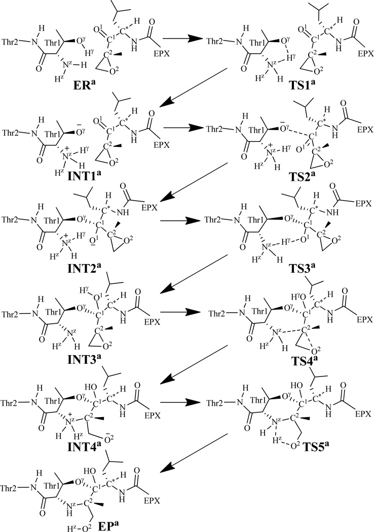 Scheme 3