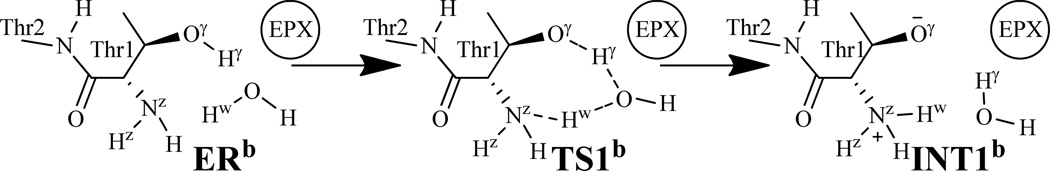 Scheme 6