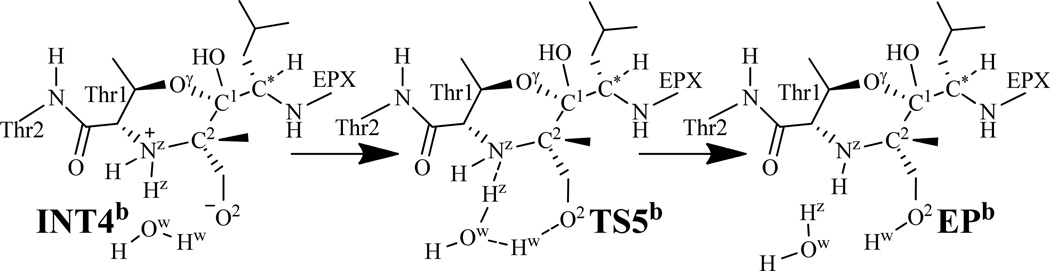 Scheme 8