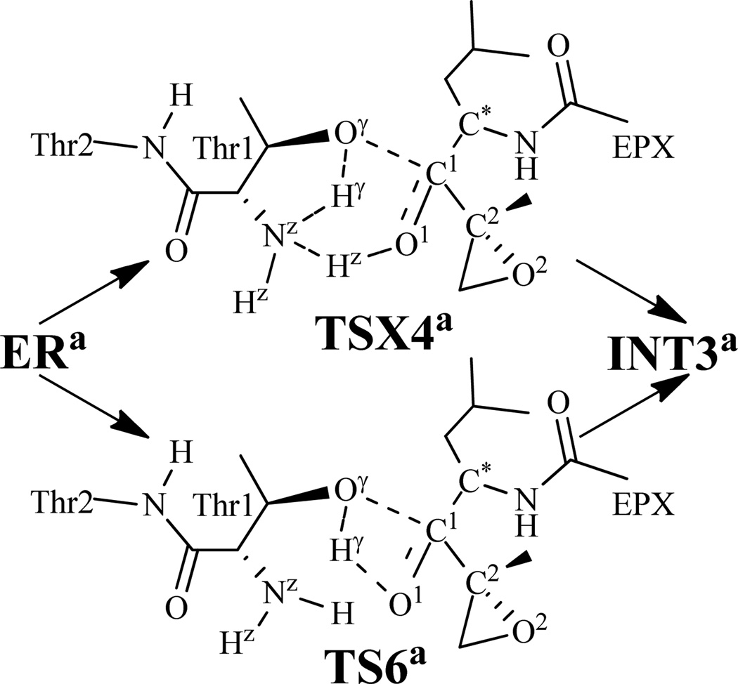 Scheme 5