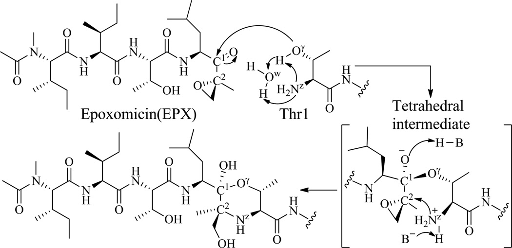 Scheme 2