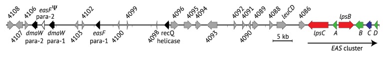 Figure 11