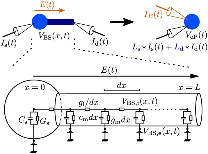 Fig 1