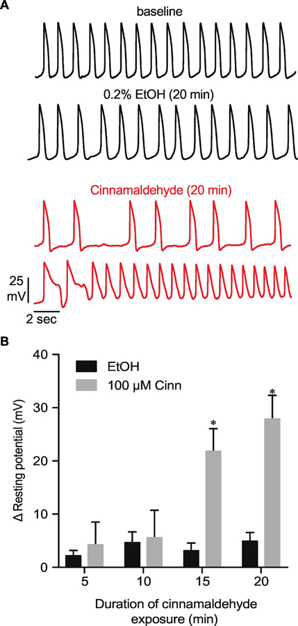 Figure 3: