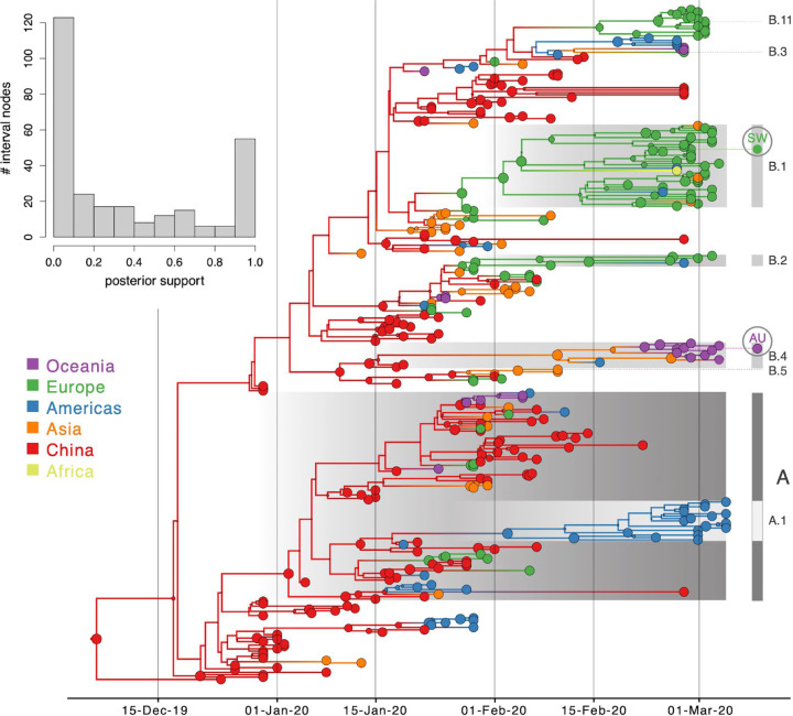 Figure 4: