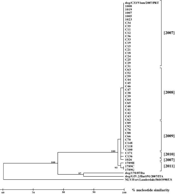 Figure 1 