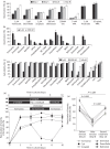 Figure 2.