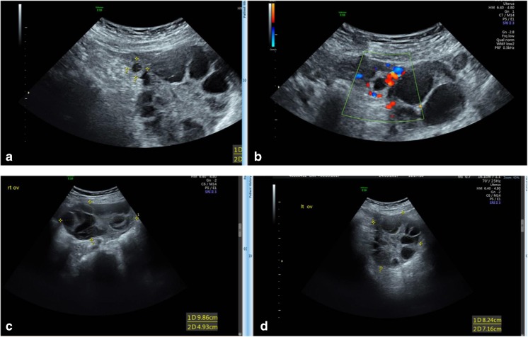 Fig. 2