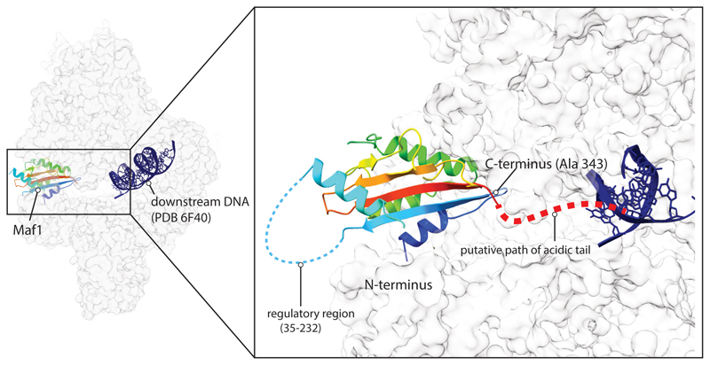 Extended Data Fig. 6