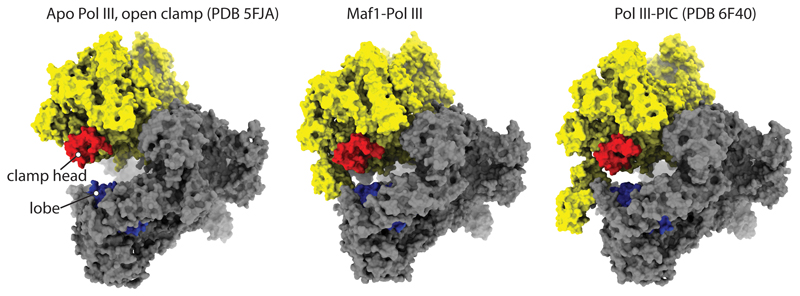 Extended Data Fig. 4