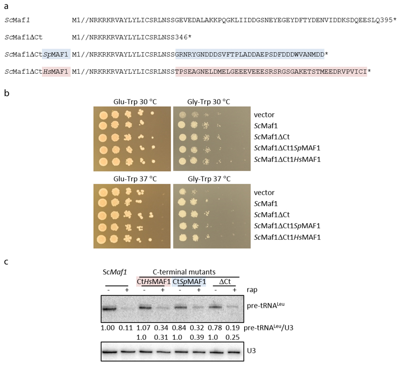 Extended Data Fig. 7