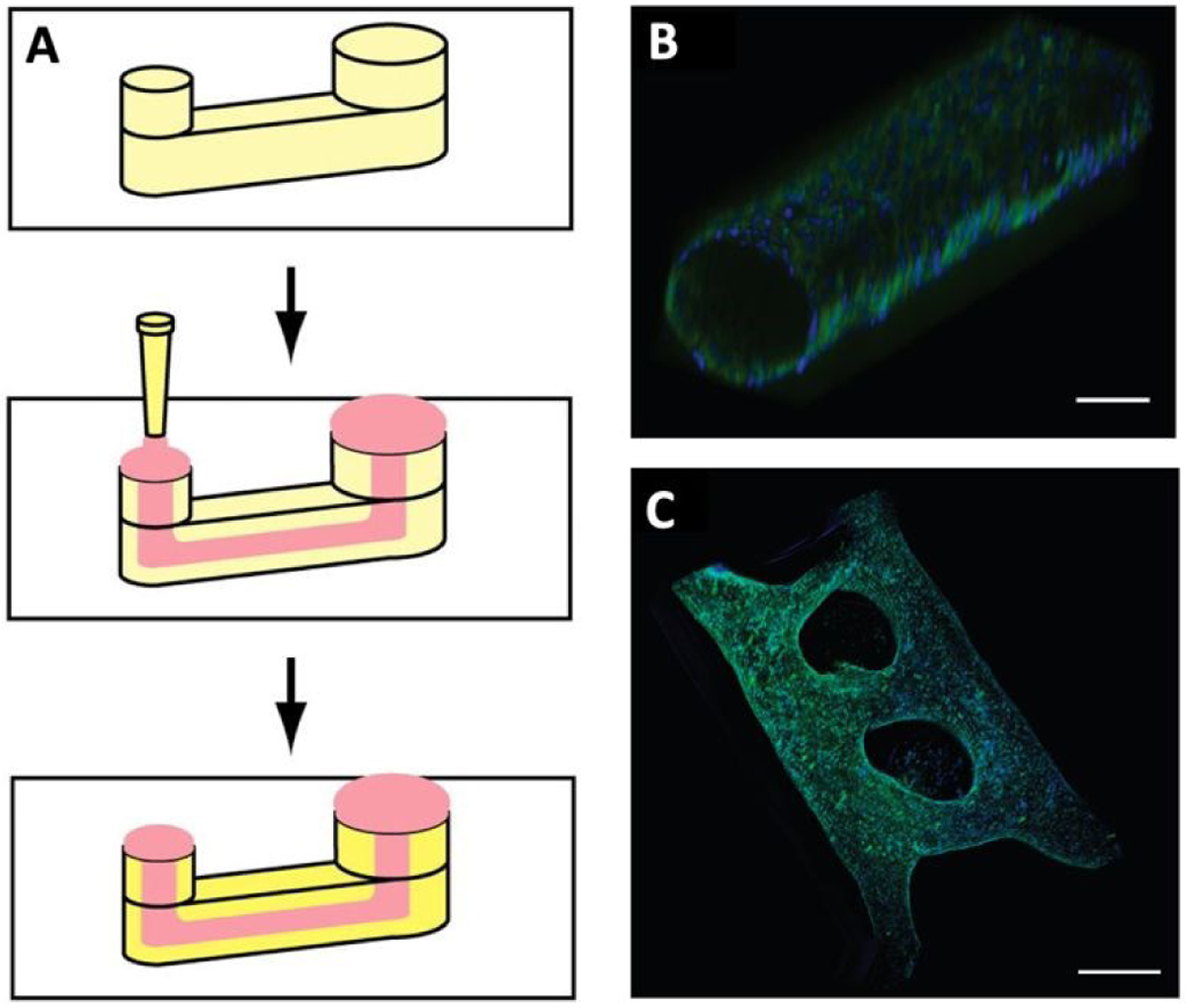 Figure 6.