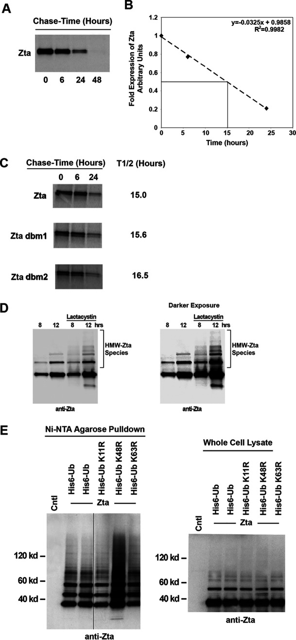 FIG 6