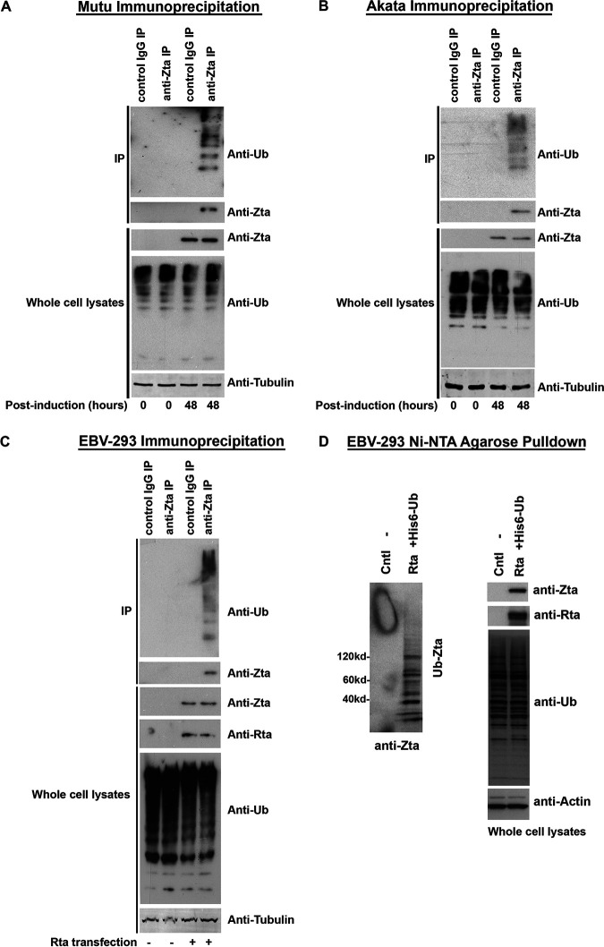 FIG 2