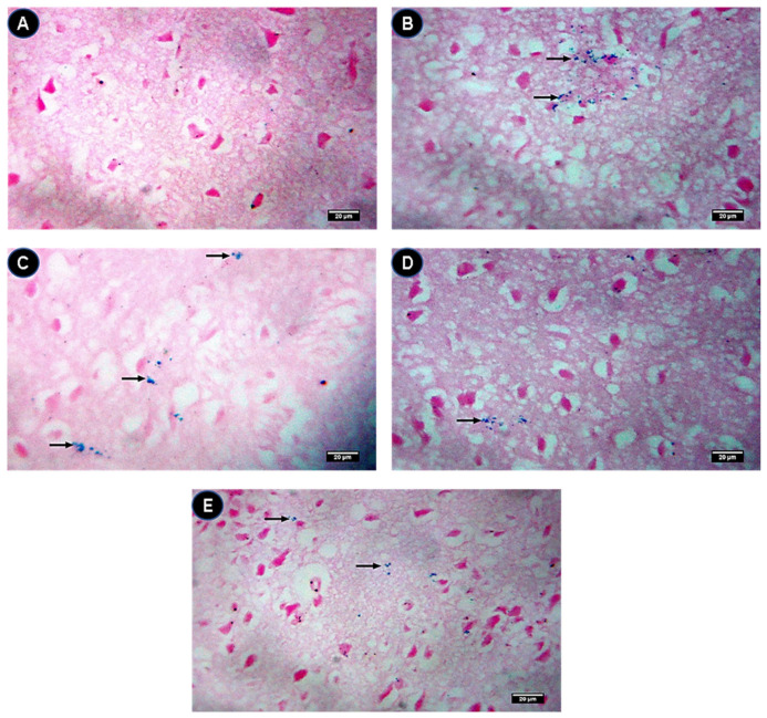 Figure 7