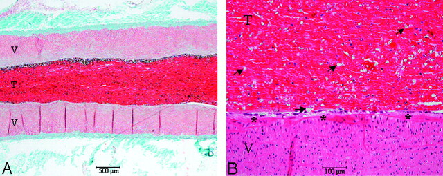 Fig 1.