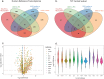 (a) (top left) Color coded Venn diagram showing 4 comparisons for human reference transcriptome mapping reads: HeLa HS vs. HeLa Control, U2OS vs. PC3, U2OS nuclear vs. U2OS total, U2OS vs. HeLa. (b) (top right) Color coded Venn diagram showing 4 comparisons for T2T CenSat subset mapping reads : HeLa HS vs. HeLa Control, U2OS vs. PC3, U2OS nuclear vs. U2OS total, U2OS vs. HeLa. (c) (middle left) Volcano plot with ‘-log10(adjusted p-value)’ on Y axis and ‘log2 (U2OS/HeLa)’ on X axis. CenSat subfamilies are indicated as different color dots. (d) (middle right) Violin plot with ‘log2 (U2OS/HeLa)’ on Y axis and ‘CenSat subtype’ on X axis. Cen Sat subtypes are shown in different colors.