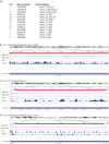 (a) Table showing chromosomal locations of HSat2 subtypes that are expressed in cancer cells. (b) Image showing distribution of RNA-seq mapping reads for Hela HS, HeLa control, PC3, and U2OS libraries to a human chromosome 7 location containing HSat2B. (c) Image showing distribution of RNA-seq mapping reads for Hela HS, HeLa control, PC3, and U2OS libraries to a human chromosome 7 location containing HSat2 and HSat3 subtypes. (d) Image showing distribution of RNA-seq mapping reads for Hela HS, HeLa control, PC3, and U2OS libraries to a human chromosome 9 location containing HSat2B.