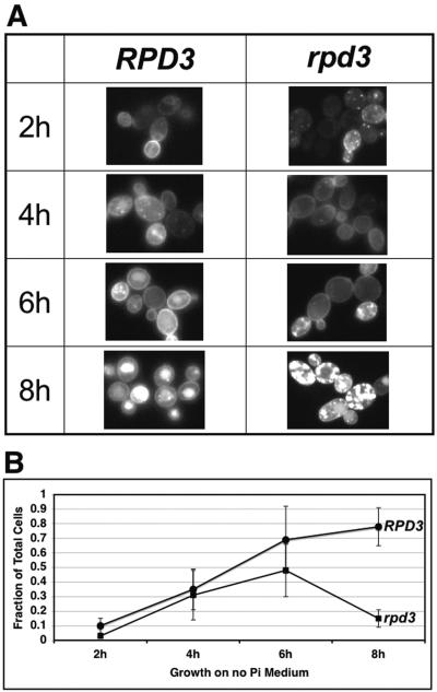 FIG. 7.