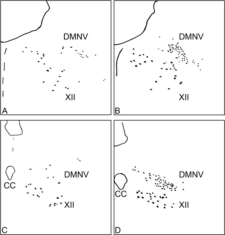 Fig. 3