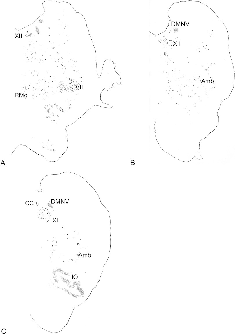 Fig. 2