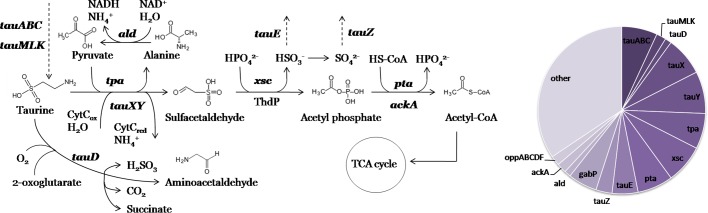 Fig. 5.