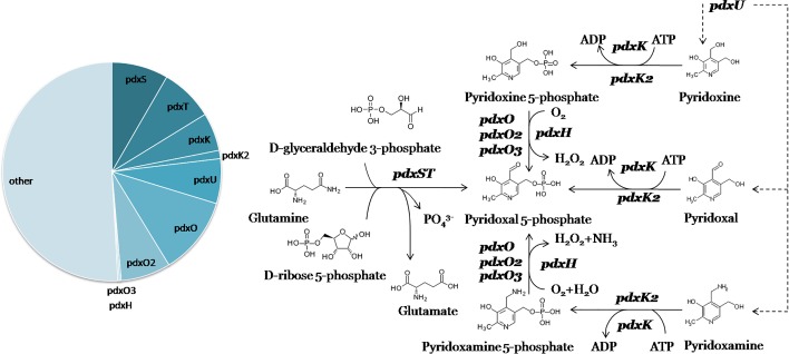 Fig. 2.