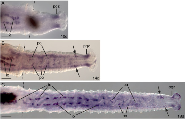 Figure 10