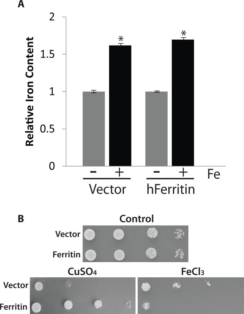 Fig 5