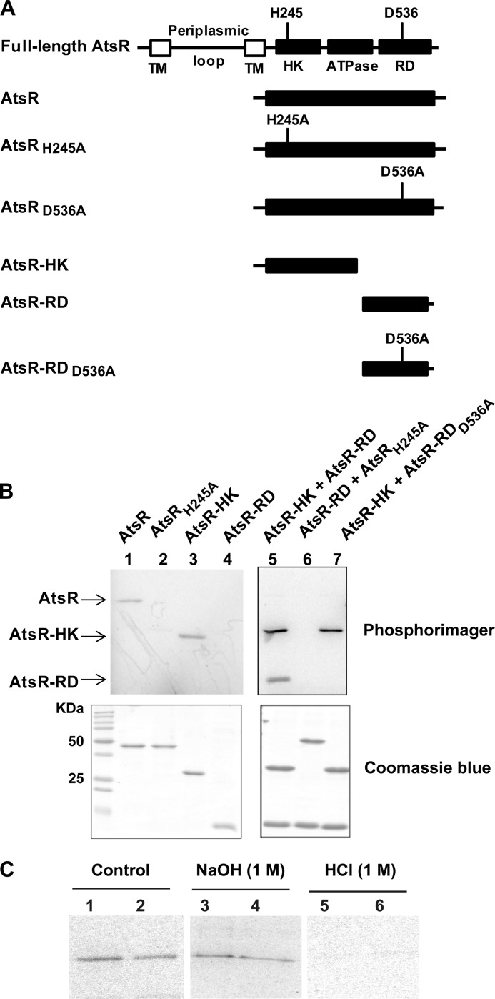 FIGURE 2.