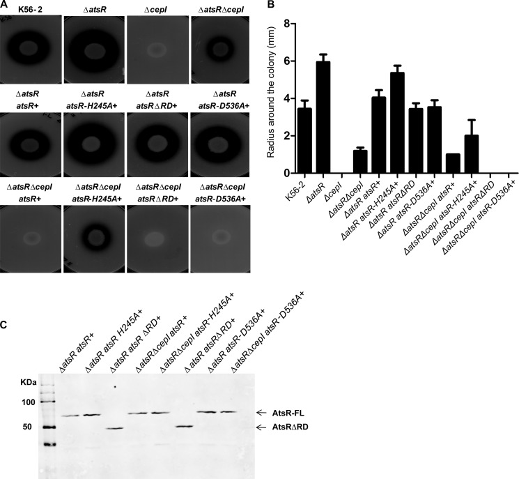 FIGURE 6.