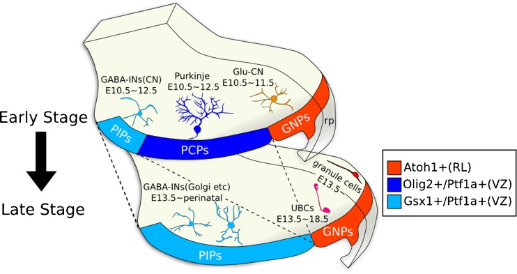 Fig. 2