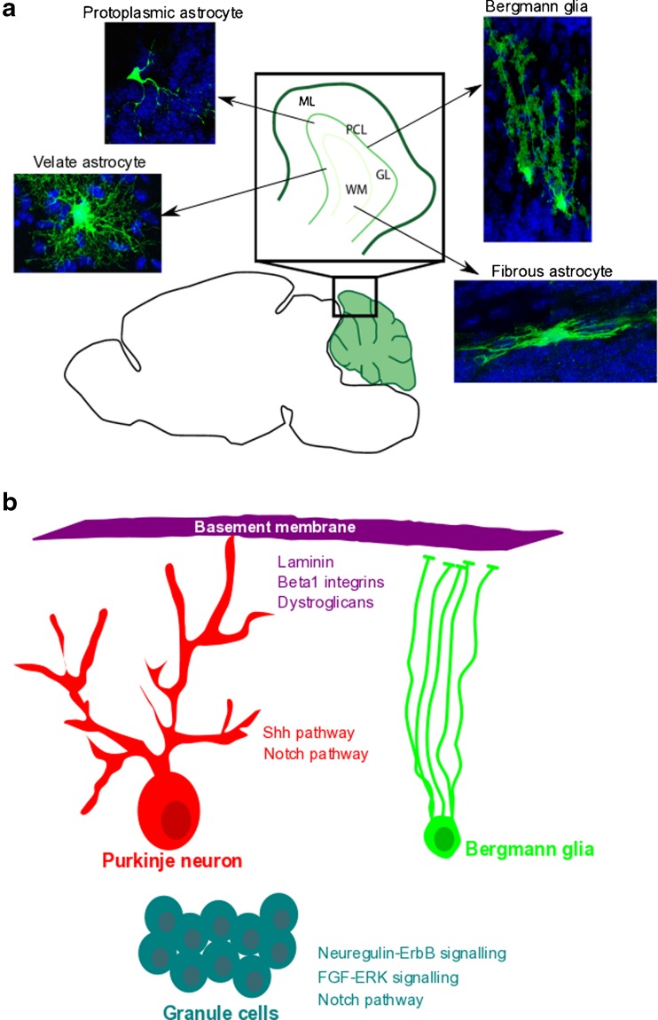 Fig. 9