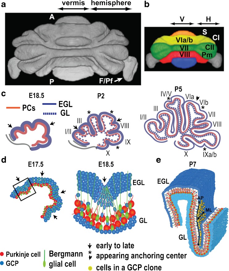 Fig. 11