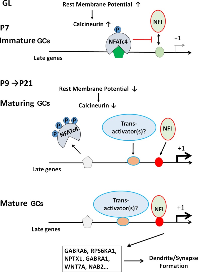 Fig. 4