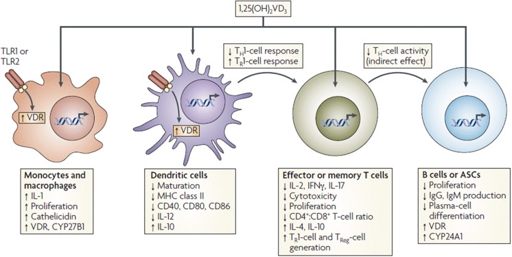 Fig. 3