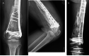 Fig. 9