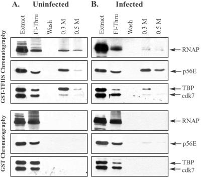 FIG. 7