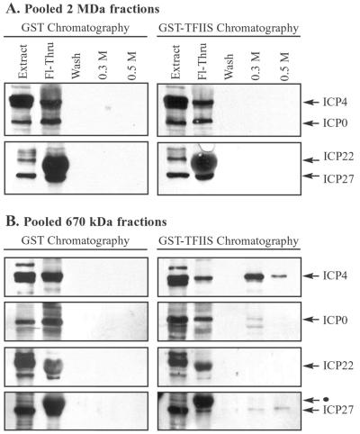 FIG. 10