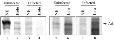 FIG. 6