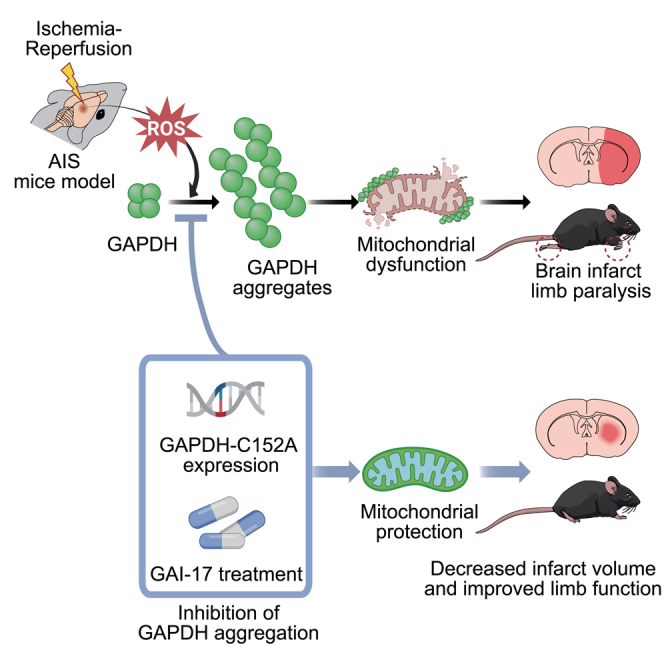 graphic file with name fx1.jpg