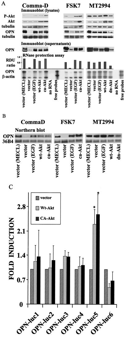 FIG.4.