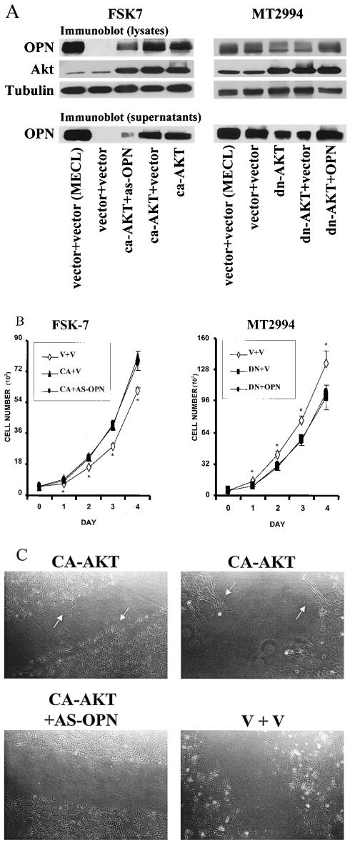 FIG. 5.