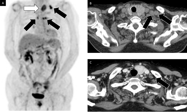 Fig 4