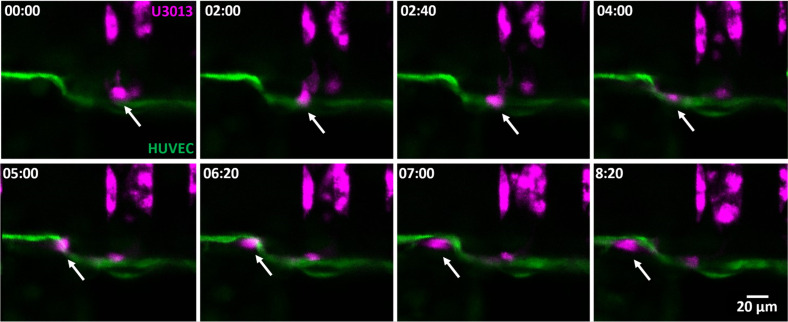 FIG. 7.